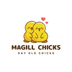 Magill Chicks