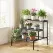 Artiss Plant Stand 3 Tier Metal Corner Plant Shelf Multiple Flower Holder Rack