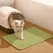 2-PCS Green Double Layer Cat Litter Mat Honeycomb Design Waterproof EVA Trapping Mat for Litter Box Tracking Control 40x50cm Easy Clean Australian Pet Supplies