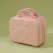 Pink 14-inch Mini Handheld Luggage Case - Stylish Makeup and Storage Box with ABS Shell