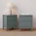 Artiss 2X Bedside Table 2 Drawers Bedroom Storage Nightstand Green