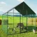 Heavy Duty Large Black Metal Walk-In Chicken Run Coop with Cover, 276x207x300cm