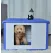 YES4PETS Small Plastic Pet Dog Puppy Cat House Kennel Blue