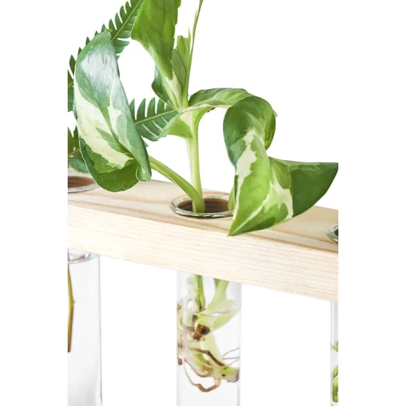 3 Tiered Wall Hanging Plant Terrarium with Wooden Stand Flower Vase Glass Planter for Hydroponic Plant Cutting Home Garden