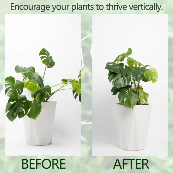 Gold Indoor Plant Stand for Climbing Plants - Plant Support Holder