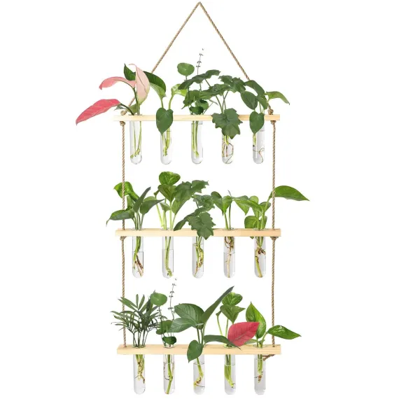3 Tiered Wall Hanging Plant Terrarium with Wooden Stand Flower Vase Glass Planter for Hydroponic Plant Cutting Home Garden