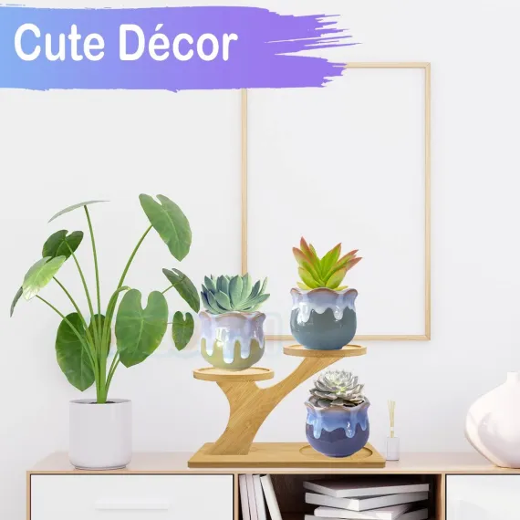 Small Tabletop Succulent Plant Stands for Desk Window Sill, Mini Desktop Bamboo Plant Stands for Indoors Plants Shelf