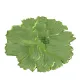 4 Pieces Flower Placemat, 3D Flower Placemats, Flower Shape Placemat, Heat-Resistant And Washable Placemat for Dining Table, Green