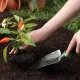 3-Piece Garden Tool Set - Gardening Set - Garden Kit - Tools for the Garden - Hand Tools - Garden Shears - Ideal Garden Gift for Women and Men - For Garden Lovers - Green