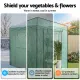 Green Fingers Greenhouse 180x240x240cm Steel Frame PE Cover Outdoor Shelter