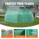 Walk-in Tunnel Greenhouse, 19.4x9.7x7.4 ft Hoop House Greenhouse Tunnel, Plant Hot House with Galvanized Steel Frame, Green PE Cover, Swing Door and 12 Roll-up Windows for Outdoor