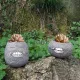 Unique Tooth Indoor Planter Pot Set-2,Funny Small Succulent Plant Pot,Novelty Home Decor Flower Pot,Cute Halloween Resin Flowerpot