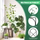 Plant Trellis for Climbing Plants Indoor, 15.94Inch Small Garden Metal Houseplant Trellis for Potted Plants Outdoor 4 Patterns