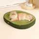 Pet Bed Dog Bed Cat Bed All-Season Washable Dog Bed Small Dog Bed Medium Dog - Green - Size L75-60-12