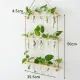 3 Tiered Wall Hanging Plant Terrarium with Wooden Stand Flower Vase Glass Planter for Hydroponic Plant Cutting Home Garden