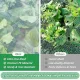 190*100*45cm(L*W*H) 2 Pack Garden Netting for Raised Beds, Ultra Fine Mesh Bird Netting Raised Garden Bed Cover, Plant Covers Pest Barrier Screen with Drawstring for Vegetables Fruits Flowers Protection - White