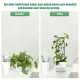 Plant Trellis for Climbing Plants Indoor, 15.94Inch Small Garden Metal Houseplant Trellis for Potted Plants Outdoor 4 Patterns
