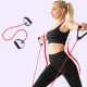 Resistance Bands with Handles, Exercise Bands with Handles, Single Resistance Bands for Resistance Training, Physical Therapy,Home Workouts, Red