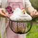 Egg basket, egg holder, egg storage, metal fruit bowl, chicken pattern, ceramic egg storage basket, iron basket for 15 eggs, egg holder, storage case, container