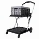 Artiss Shopping Trolley with Wheels 2 Layer w/1 Crate Foldable Trolley Grey