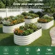 Green Fingers Raised Garden Bed 2 Pack Galvanised Planter Box Rust Resistant 120x60x30cm White
