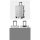Aluminum Alloy Hard-Shell Suitcase with TSA Lock -20" Spinner Luggage in Silver