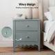 Artiss Bedside Table 2 Drawers Bedroom Storage Nightstand Green
