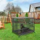 Heavy Duty Dog Cage with Lock & Bottom Tray XXL